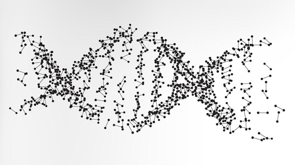 What is NMN - Nicotinamide Mononucleotide?